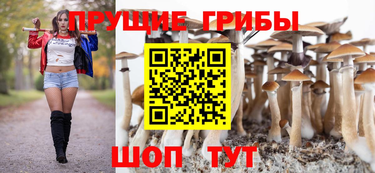 Азов  Псилоцибиновые грибы ЛСД  Вход с VPN 